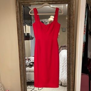 Dress the Population Midi Dress
